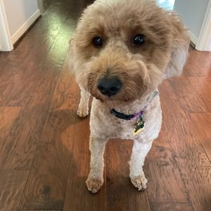 Meet your Posher, Rebecca